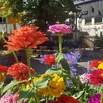 Gohrischer Hof Anno 1798 Kurort Gohrisch